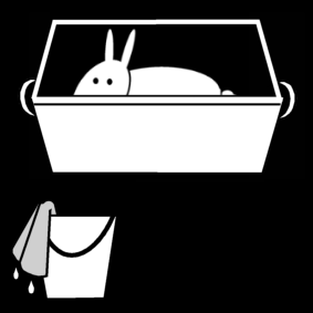 rabbit clean cage